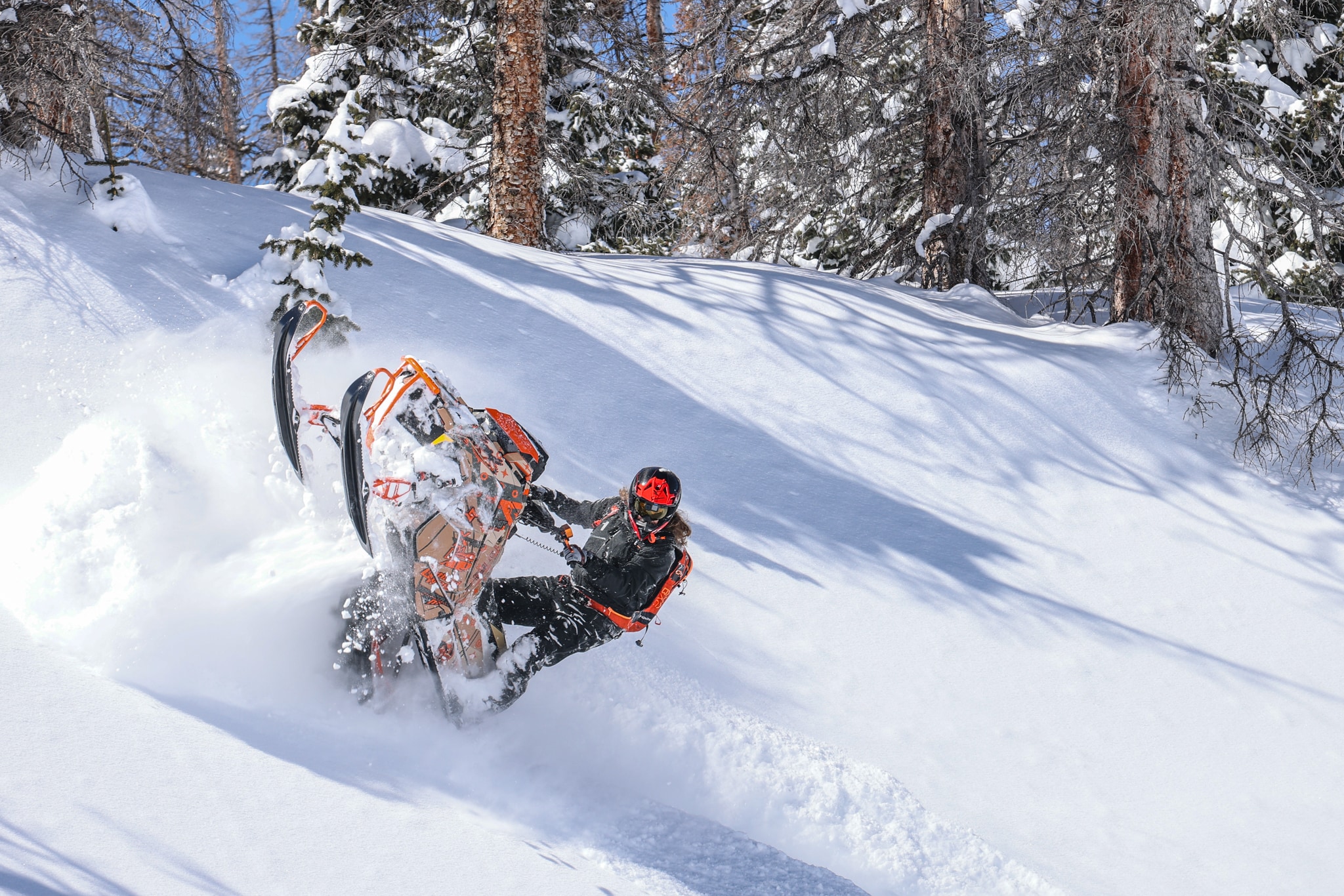 Snowmobiler carving through deep powder in a snowy Colorado forest